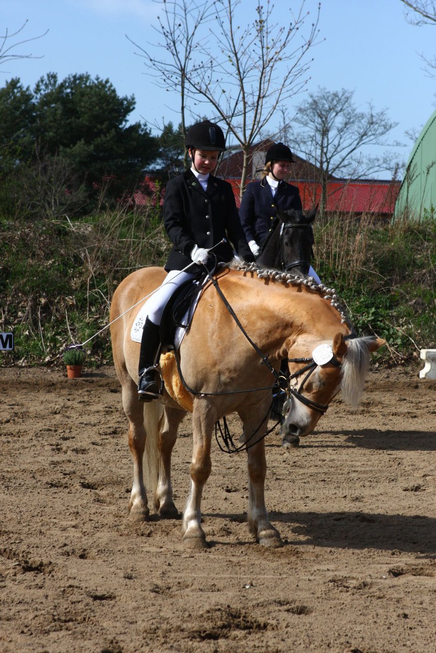 Bild 775 - WBO-Turnier am 9.4.11